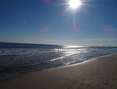 Daire Patacona Mare Nostrum Ii *